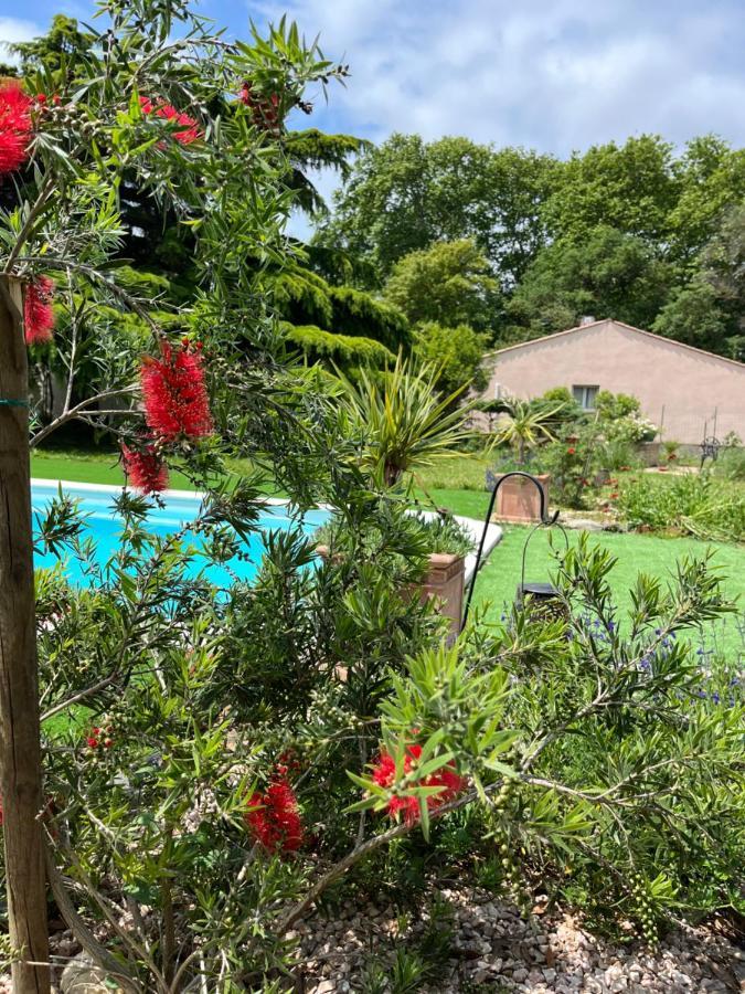 Suite A La Villa Cattus Bram Zewnętrze zdjęcie